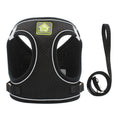 VIVI & BERRY cat harness and leash product view 1